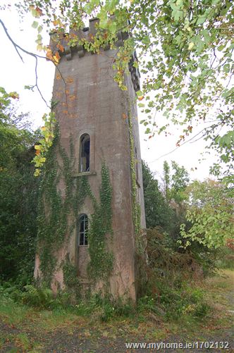 Laragh Castle, Laragh, Co. Wicklow
