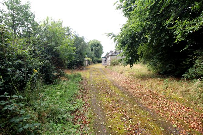Photo 16 of 21 — Knockahaw, Dublin road, Longford, Longford