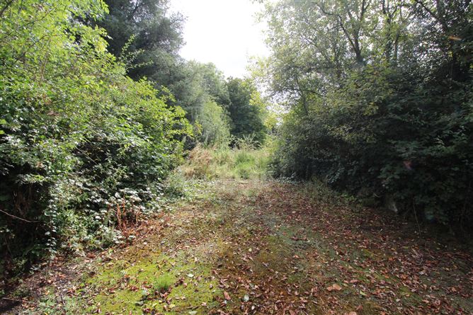 Photo 14 of 21 — Knockahaw, Dublin road, Longford, Longford