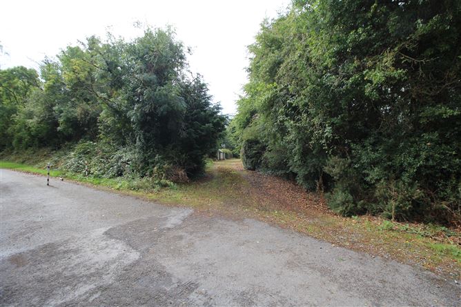 Photo 15 of 21 — Knockahaw, Dublin road, Longford, Longford