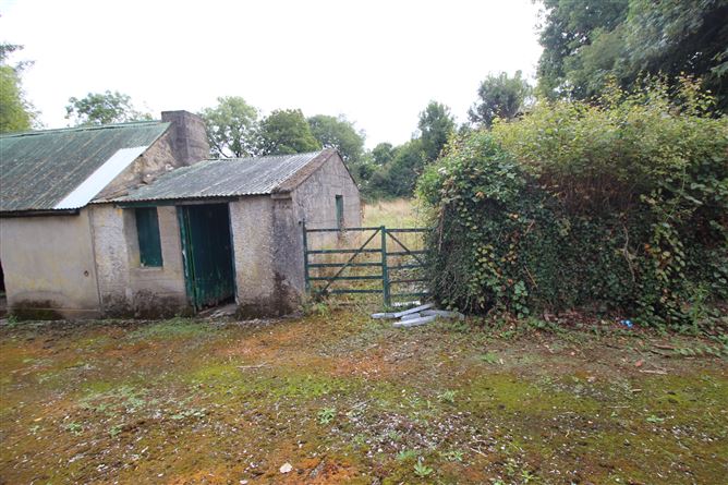 Photo 18 of 21 — Knockahaw, Dublin road, Longford, Longford