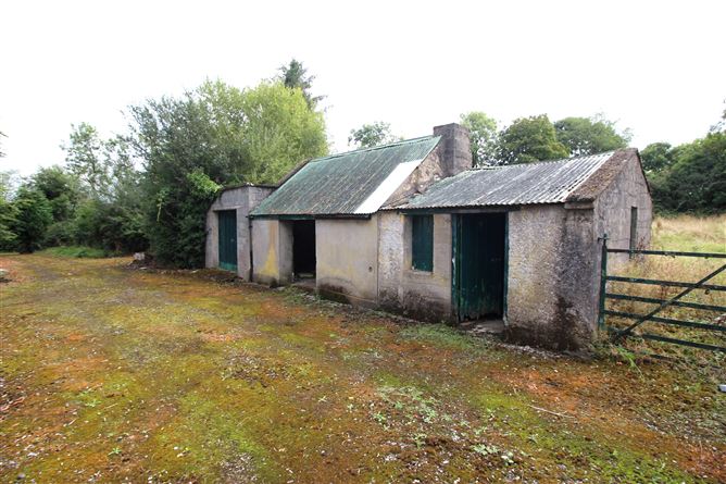 Photo 19 of 21 — Knockahaw, Dublin road, Longford, Longford