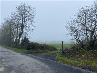 Image for Castlegannon, Mullinvat, Co. Kilkenny
