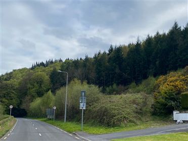 Image for Site At Brandondale, Graiguenamanagh, Kilkenny