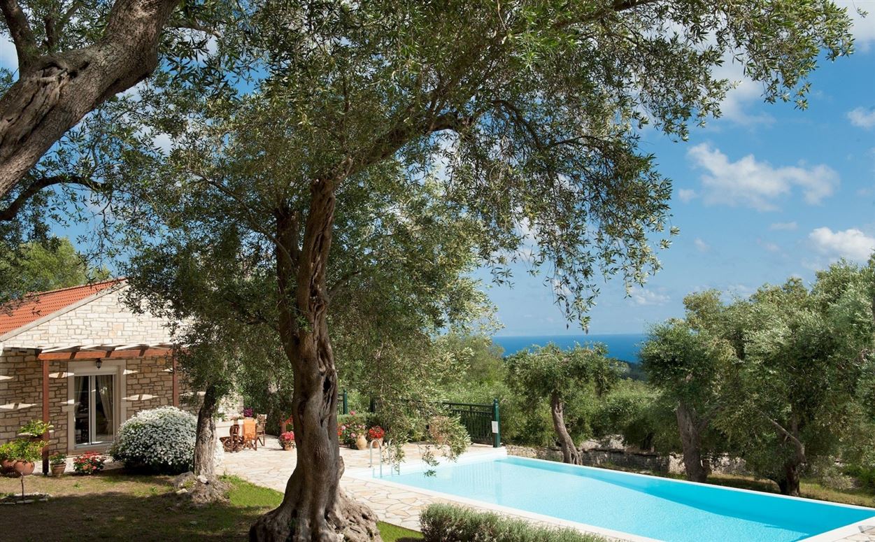 Magenta Divine,Manesatika, Paxi, Greece