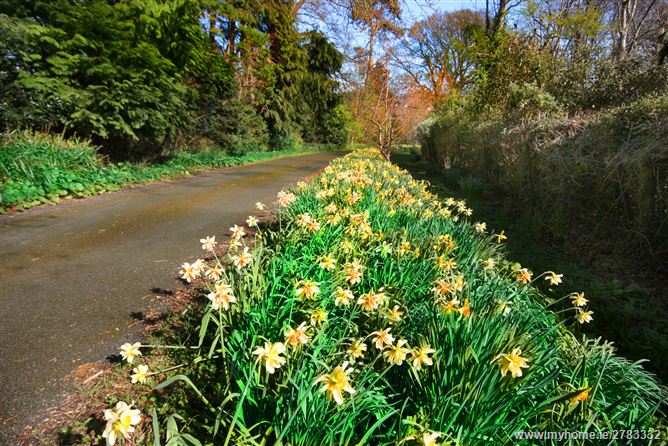 Fernhill House & Gardens, Enniskerry Road, Stepaside, Co. Dublin 