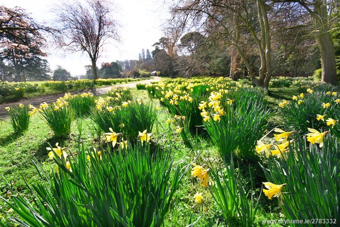 Fernhill House & Gardens, Enniskerry Road, Stepaside, Co. Dublin 