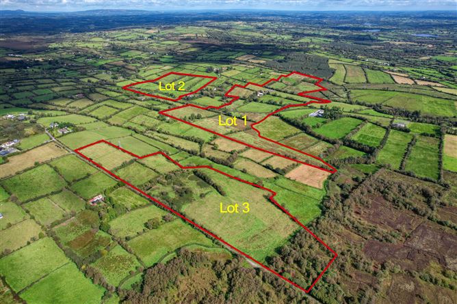 Lot 1 - House On 1 Hectare, Killyvehy, Cloone, Co. Leitrim