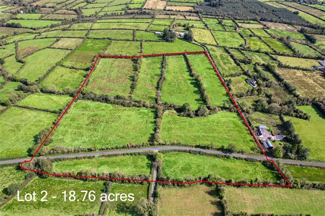 Lot 1 - House On 1 Hectare, Killyvehy, Cloone, Co. Leitrim