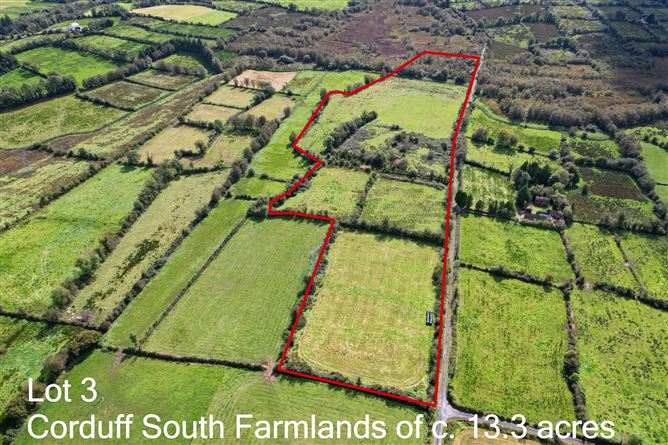 Lot 1 - House On 1 Hectare, Killyvehy, Cloone, Co. Leitrim