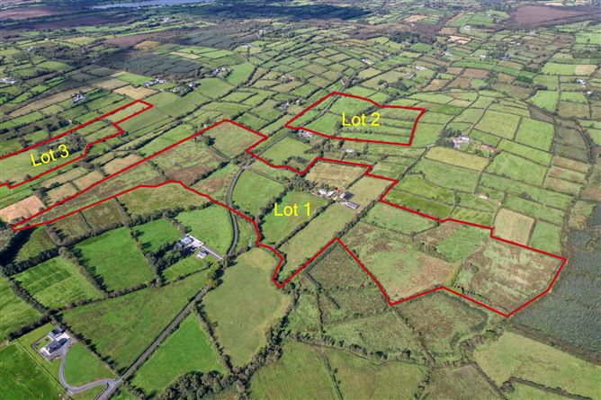 Lot 1 - House On 1 Hectare, Killyvehy, Cloone, Co. Leitrim