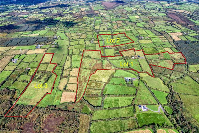 Lot 1 - House On 1 Hectare, Killyvehy, Cloone, Co. Leitrim
