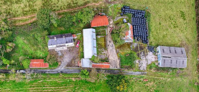 Lot 1 - House On 1 Hectare, Killyvehy, Cloone, Co. Leitrim