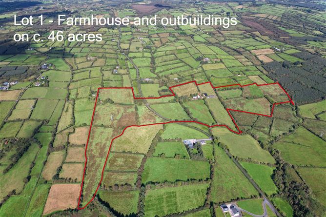 Lot 1 - House On 1 Hectare, Killyvehy, Cloone, Co. Leitrim