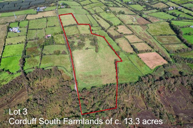 Lot 1 - House On 1 Hectare, Killyvehy, Cloone, Co. Leitrim
