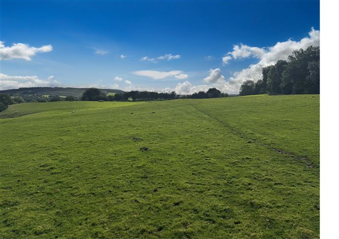 Land c. 25 acres/ 10.16 Ha., Golden Falls, Ballymore Eustace, Kildare