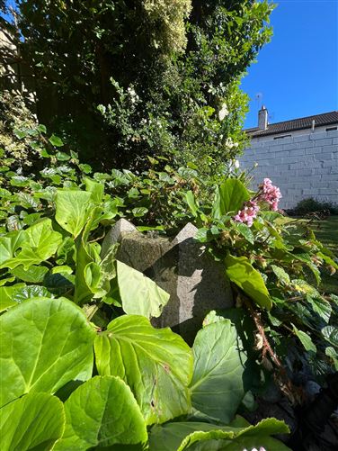 Photo 20 of 21 — 47 Manor Hill, Ballincollig, Cork