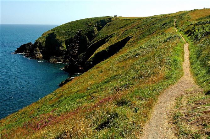 2 Bed in Ardmore,Ardmore,  Waterford