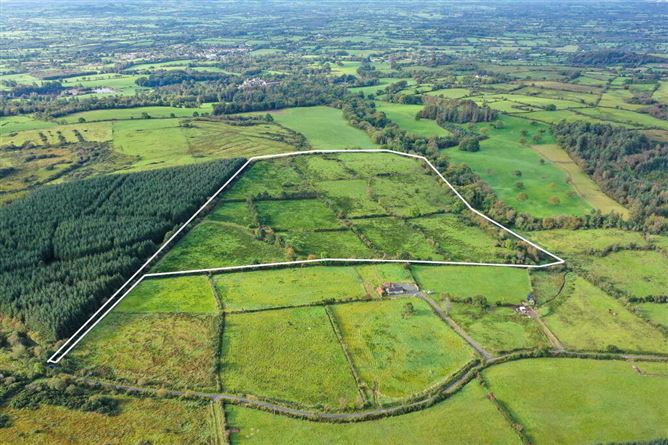 Garranbane, Murroe, Limerick