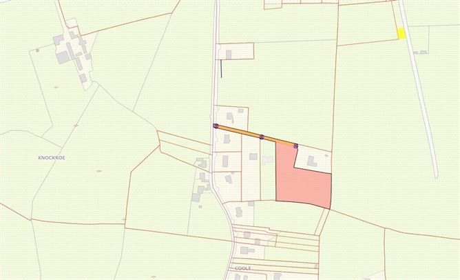 Site @ Knockavagh, Rathvilly, Co. Carlow