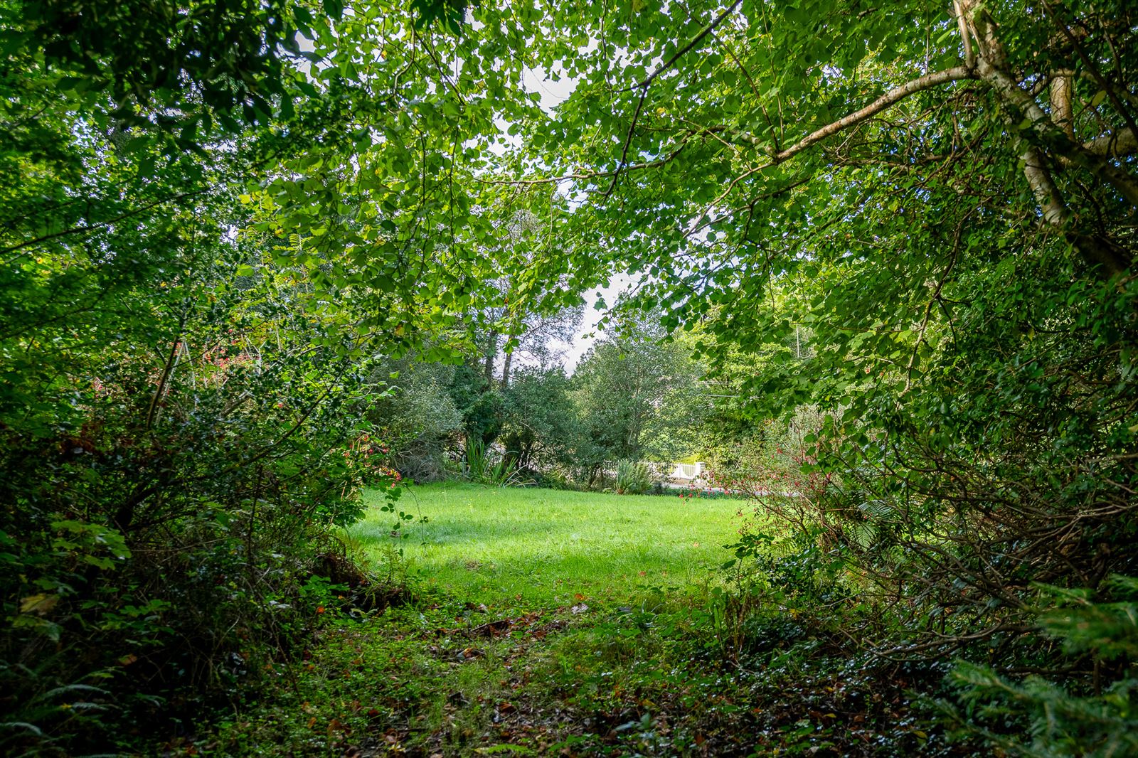 River Cottage, Feorus East, Kenmare, Co. Kerry, V93 EW92
