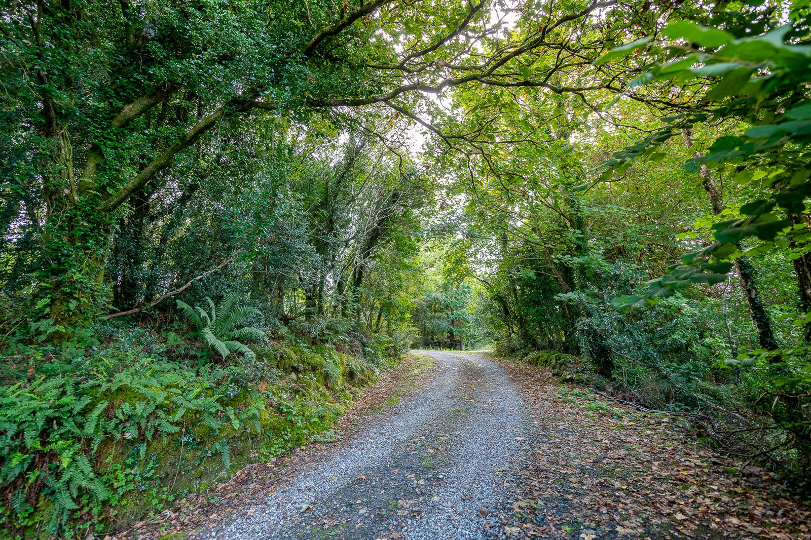 River Cottage, Feorus East, Kenmare, Co. Kerry, V93 EW92