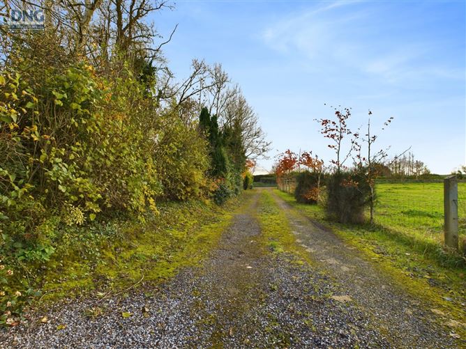 Upper Ballybit Big, Tullow, Co. Carlow