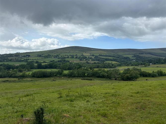 Crannagh, Borris, Carlow