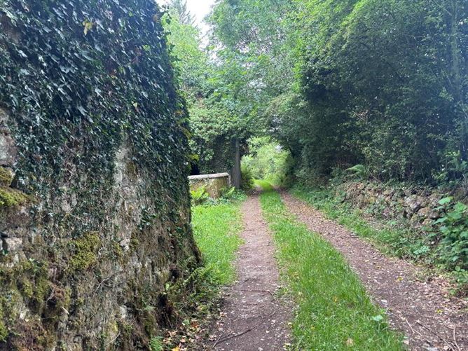 Crannagh, Borris, Carlow
