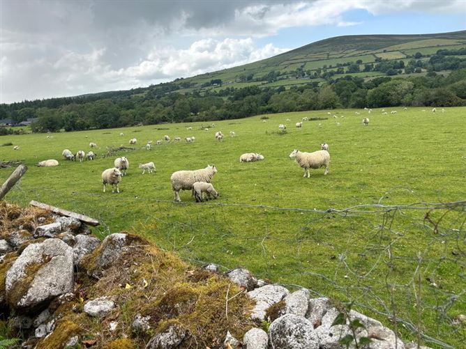 Crannagh, Borris, Carlow