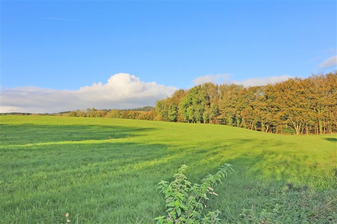 Ashgrove, Cappantymore West, Meelick, Co. Clare