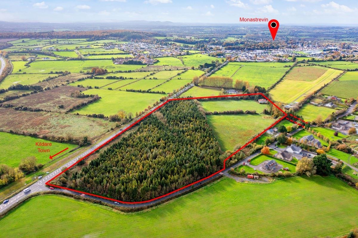 c.20 Acres of Land at Barraderra, Monasterevin, Kildare