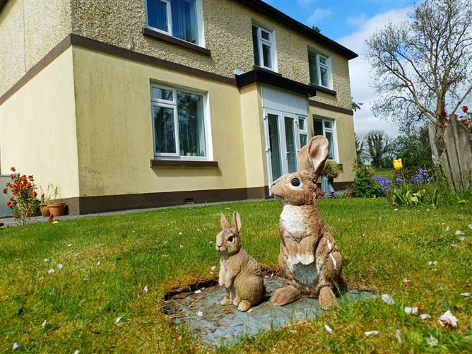 Photo 66 of 100 — Listrahee, Ballinalee, Longford