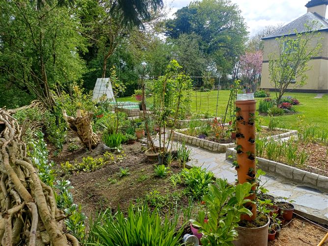 Photo 42 of 100 — Listrahee, Ballinalee, Longford
