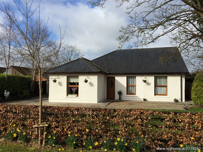 Tully Hide,Tully West, Kildare, Kildare