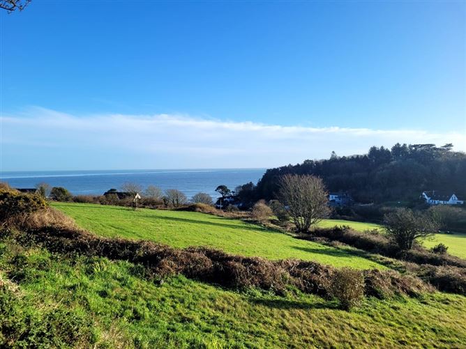 Roseville, Cooney's Field, Myrtleville, Cork