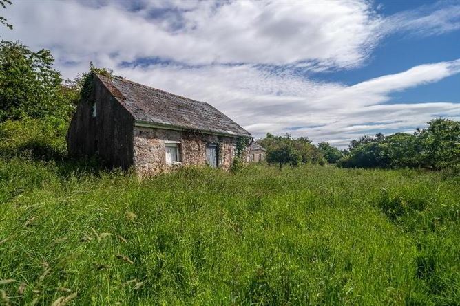 C.8.6 Lands Acres/3, 5 HA & Derelict Cottage, Tincurry, Cahir, Co. Tipperary, Tipperary