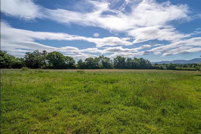 C.8.6 Lands Acres/3, 5 HA & Derelict Cottage, Tincurry, Cahir, Co. Tipperary, Tipperary