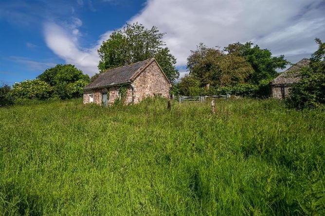 C.8.6 Lands Acres/3, 5 HA & Derelict Cottage, Tincurry, Cahir, Co. Tipperary, Tipperary