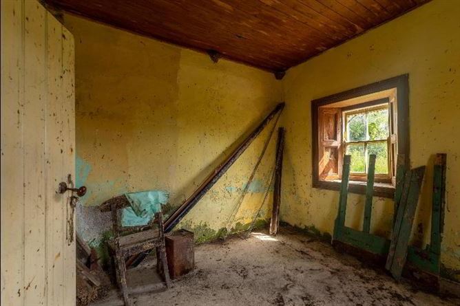 C.8.6 Lands Acres/3, 5 HA & Derelict Cottage, Tincurry, Cahir, Co. Tipperary, Tipperary