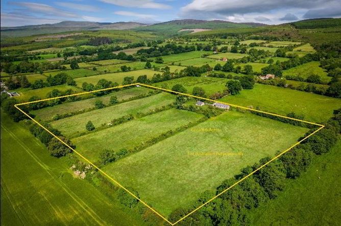 C.8.6 Lands Acres/3, 5 HA & Derelict Cottage, Tincurry, Cahir, Co. Tipperary, Tipperary