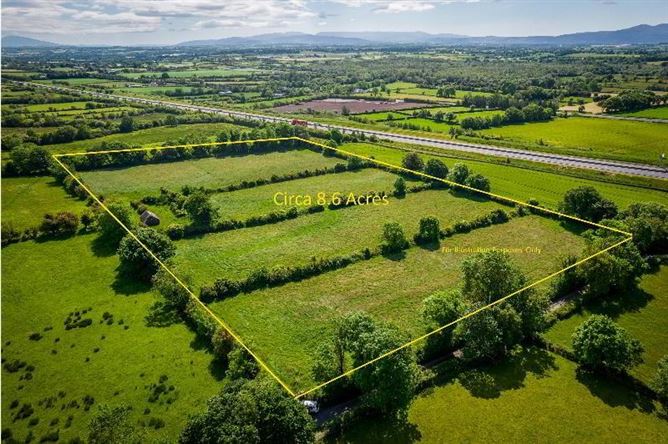 C.8.6 Lands Acres/3, 5 HA & Derelict Cottage, Tincurry, Cahir, Co. Tipperary, Tipperary