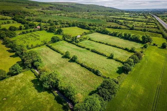 C.8.6 Lands Acres/3, 5 HA & Derelict Cottage, Tincurry, Cahir, Co. Tipperary, Tipperary