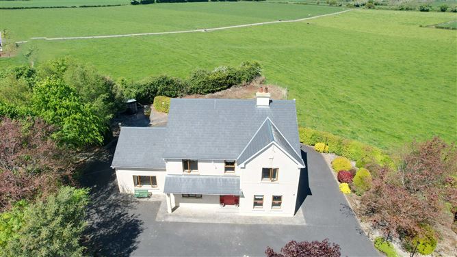 Cross Aghaboe, Ballacolla, Co.Laois