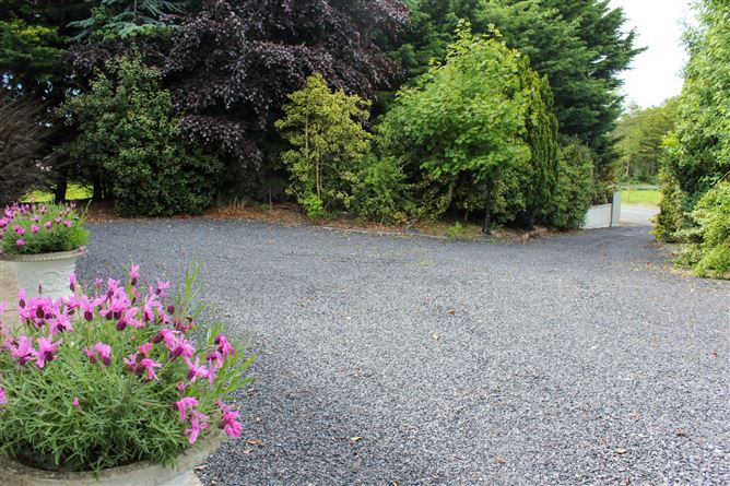 The Meelaghans, Tullamore, Co. Offaly