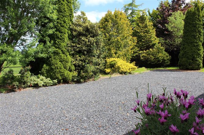 The Meelaghans, Tullamore, Co. Offaly
