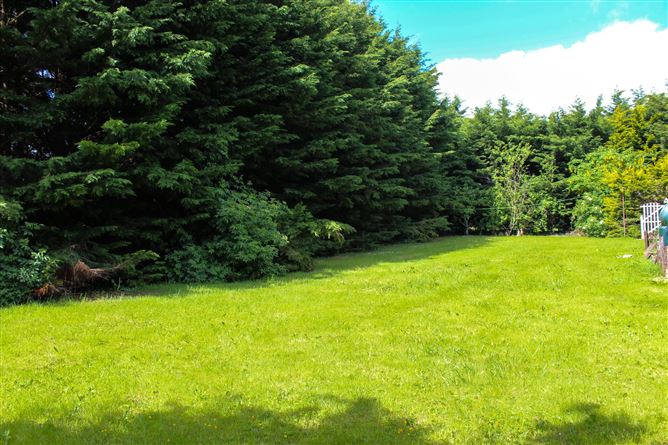 The Meelaghans, Tullamore, Co. Offaly