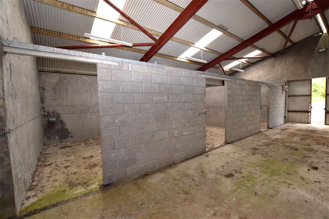 Beglieve, Bailieborough, Cavan