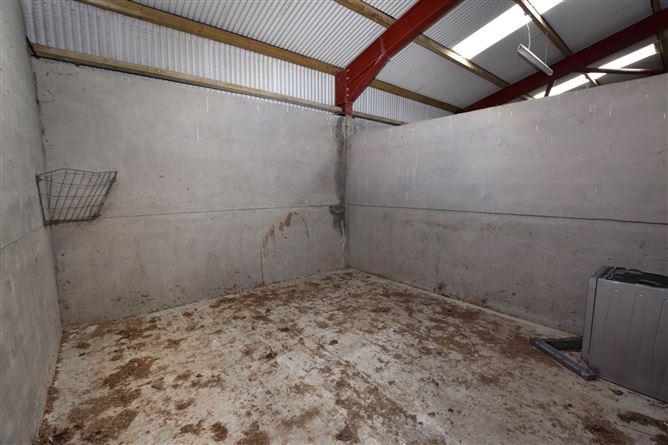 Beglieve, Bailieborough, Cavan