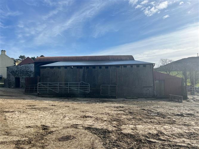 Barniskey, Arklow, Co. Wicklow , Arklow, County Wicklow